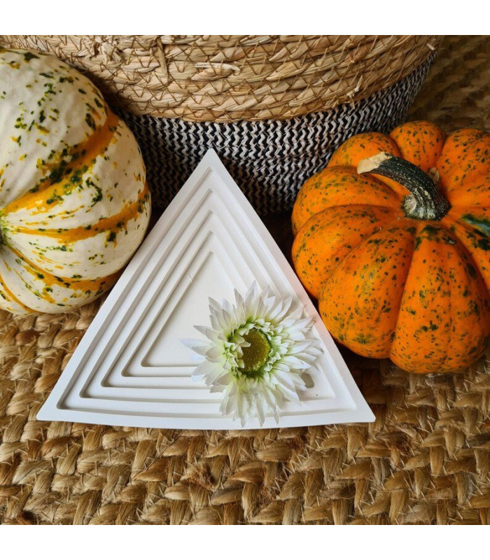 Molde de silicona plato triangular 160x160mm