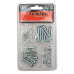 Paquete de bulon y tuerca  EXPRESOL