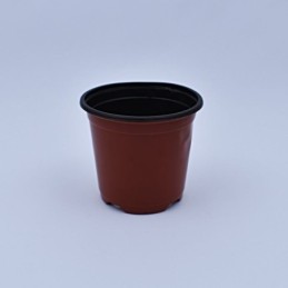 Plantera marron jl-120x105mm clase a