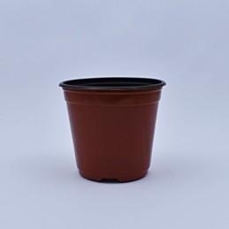 Plantera marron jl-120mm clase a