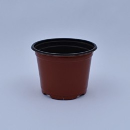 Plantera marron jl-150x114 clase a