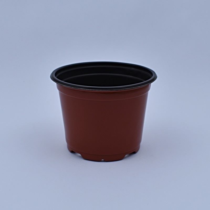 Plantera marron jl-150x114 clase a