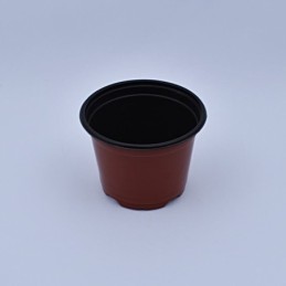 Plantera marron jl-150x114 clase a