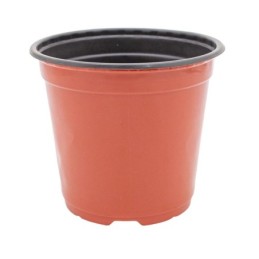 Plantera marron jl-150x135mm clase a