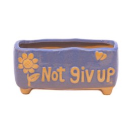 Maceta not giv up 12.5x4.5cm