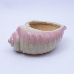 Maceta caracol 9.5x7.5cm