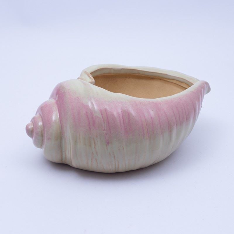 Maceta caracol 9.5x7.5cm