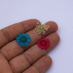Flor seca 12 compartimientos