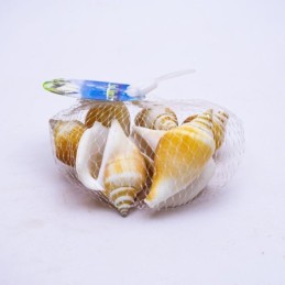 Caracol decorativo 100gr