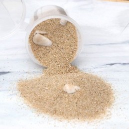 Arena de mar con caracol 30g