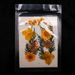 Flores secas mix en sobre