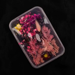 Flores secas mix en caja