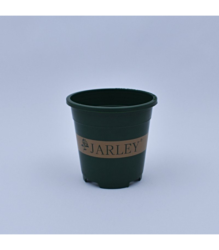 Plantera verde jl-115x110mm JARLEY