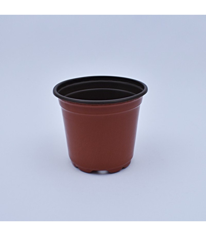 Plantera marron jl-110 clase a