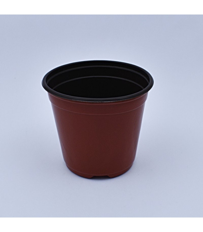 Plantera marron jl-120mm clase a