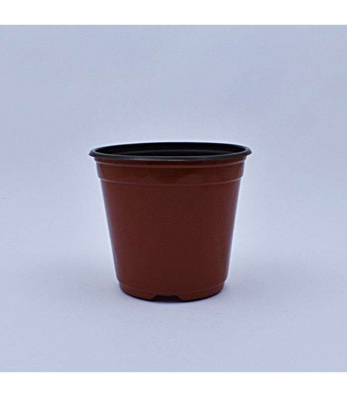 Plantera marron jl-120mm clase a