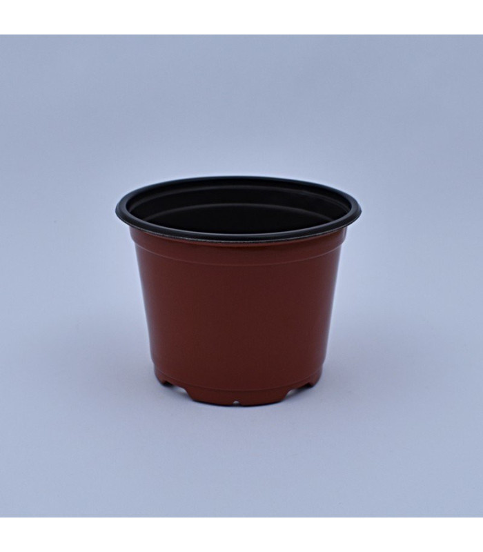 Plantera marron jl-150x114 clase a