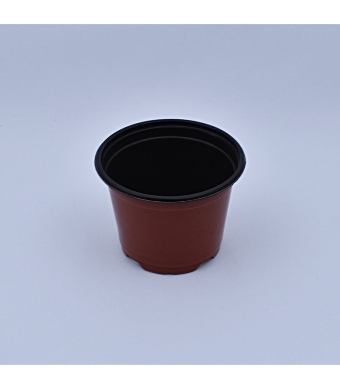 Plantera marron jl-150x114 clase a