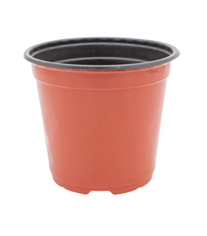 Plantera marron jl-150x135mm clase a