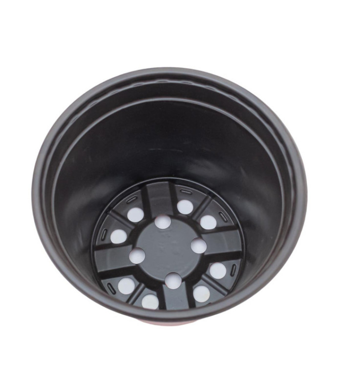 Plantera marron jl-150x135mm clase a