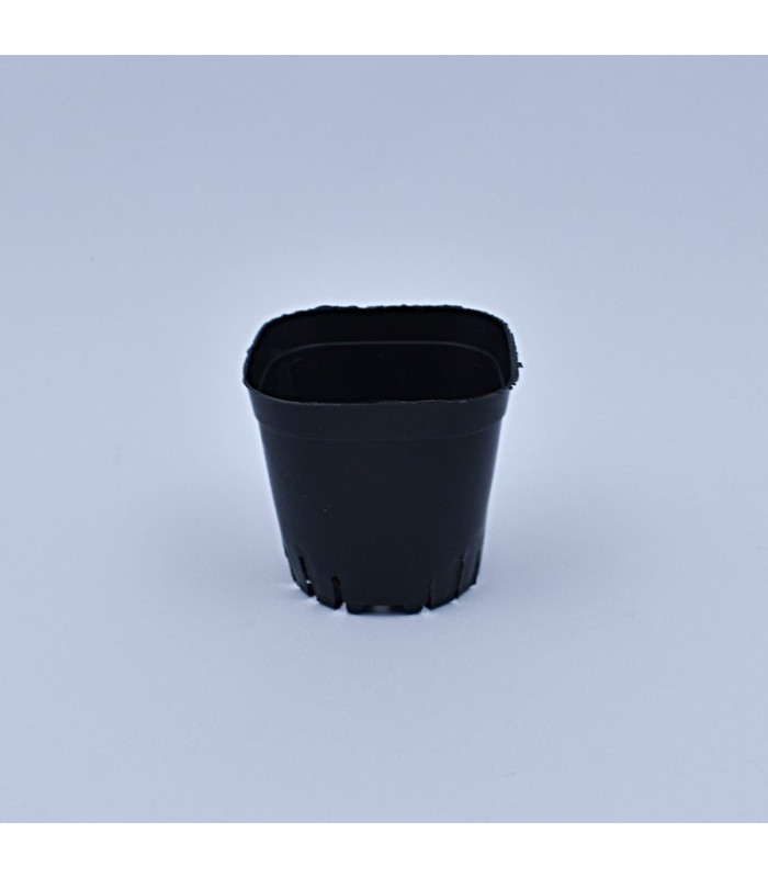 Plantera sucu cuadrado 80mm