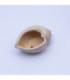 Maceta caracol 9.5x7.5cm