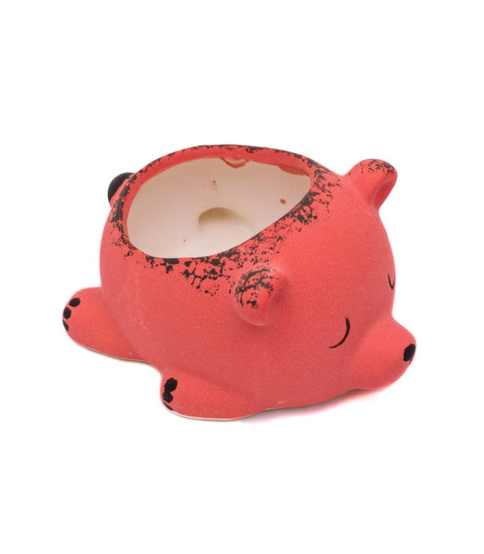 Maceta oso 13.5x10.3x7.7cm