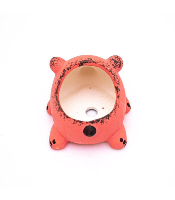 Maceta oso 13.5x10.3x7.7cm