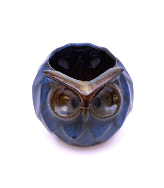 Maceta cristal buho 11.5x11.5cm