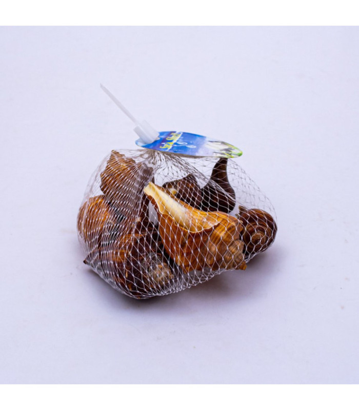 Caracol marron surtido 100g