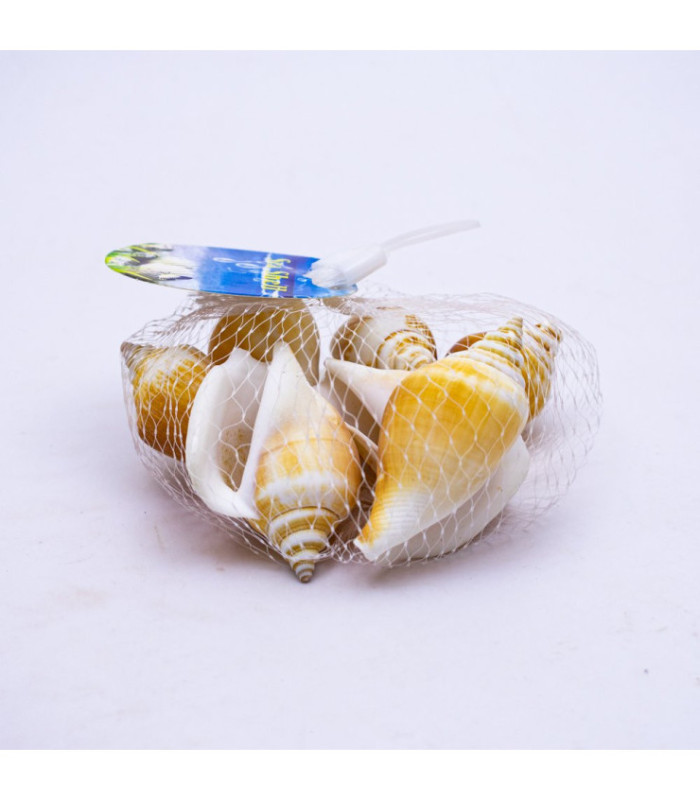 Caracol decorativo 100gr