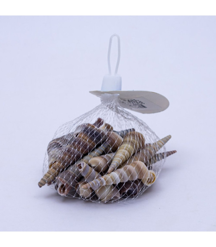 Caracol conito 100gr