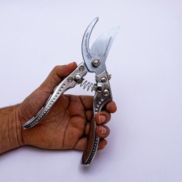 Tijera profecional para poda 8  WYNNS