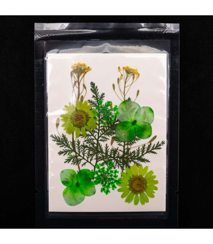 Flores secas mix en sobre