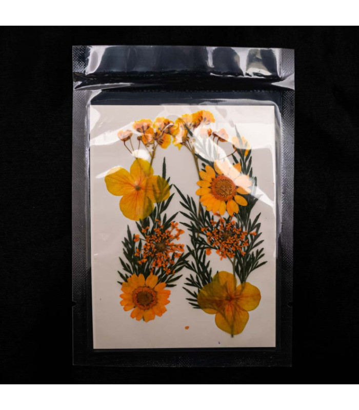 Flores secas mix en sobre