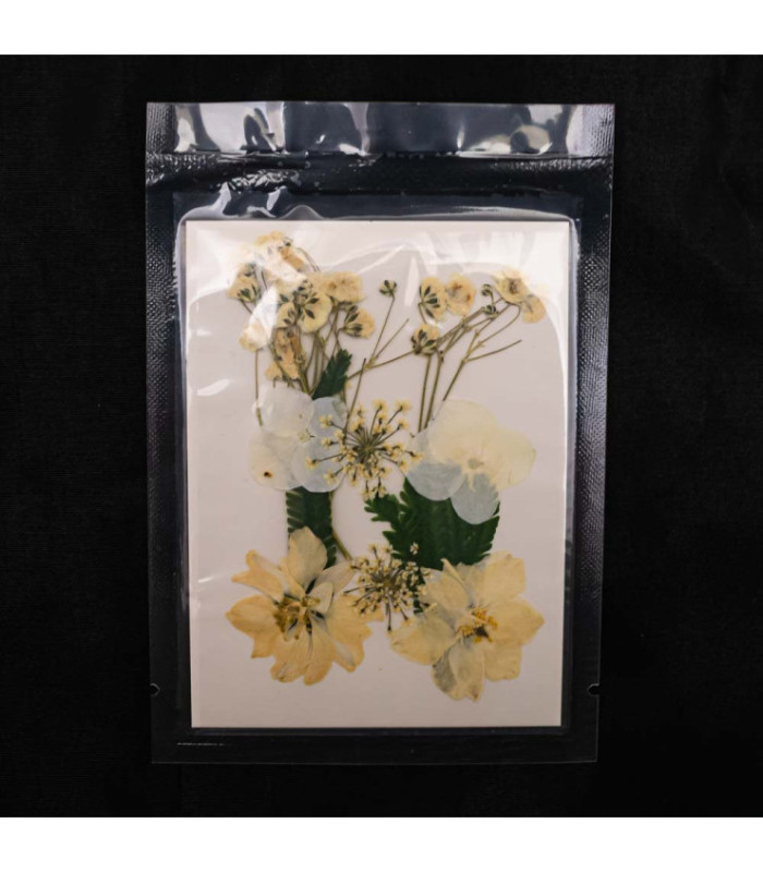 Flores secas mix en sobre