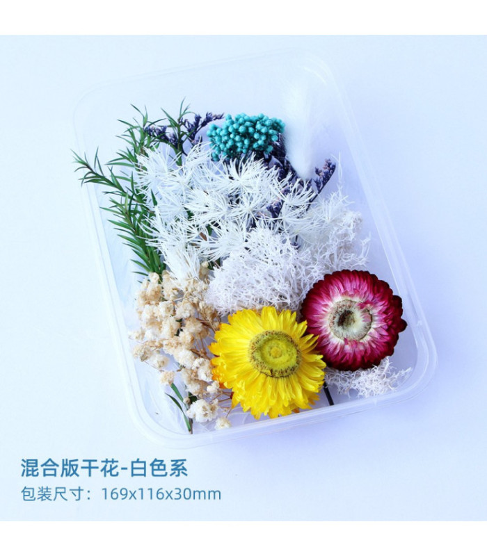 Flores secas mix en caja