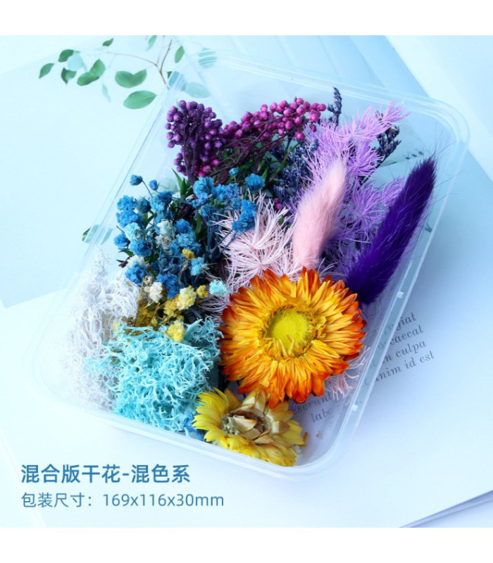 Flores secas mix en caja