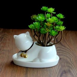 Maceta gato con base 14x9x9cm