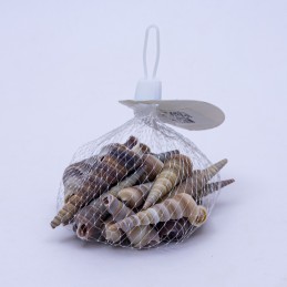 Caracol conito 100gr
