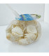 Caracol de mar surtido 120gr