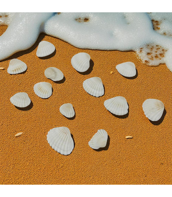 Caracol de mar surtido 120gr