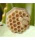 MOLDE S. PANAL DE ABEJA 8CM