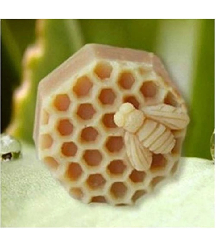 MOLDE S. PANAL DE ABEJA 8CM