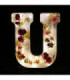 Molde de silicona letra U 170x130x20mm