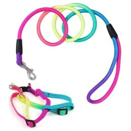 Collar y soga colorida para perro