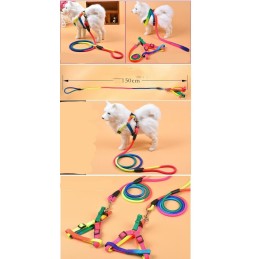 Collar y soga colorida para perro
