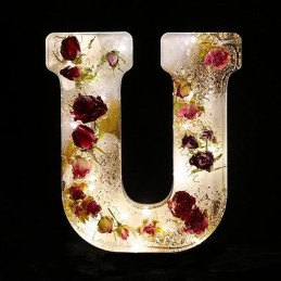 Molde de silicona letra U 170x130x20mm