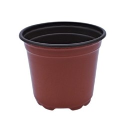 Plantera marron jl-110 clase a