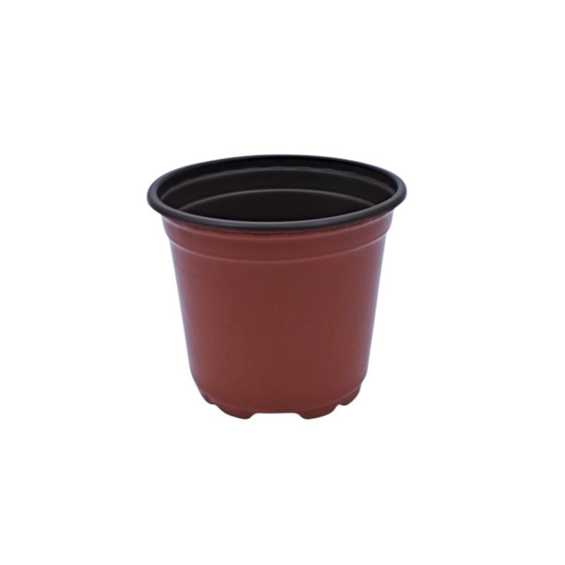 Plantera marron jl-110 clase a
